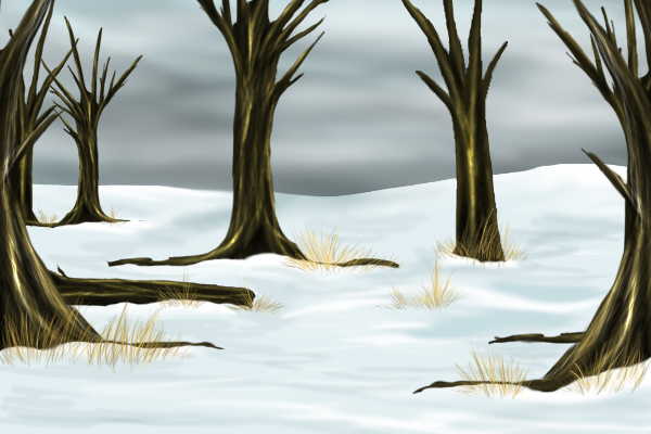 Winter Landscape