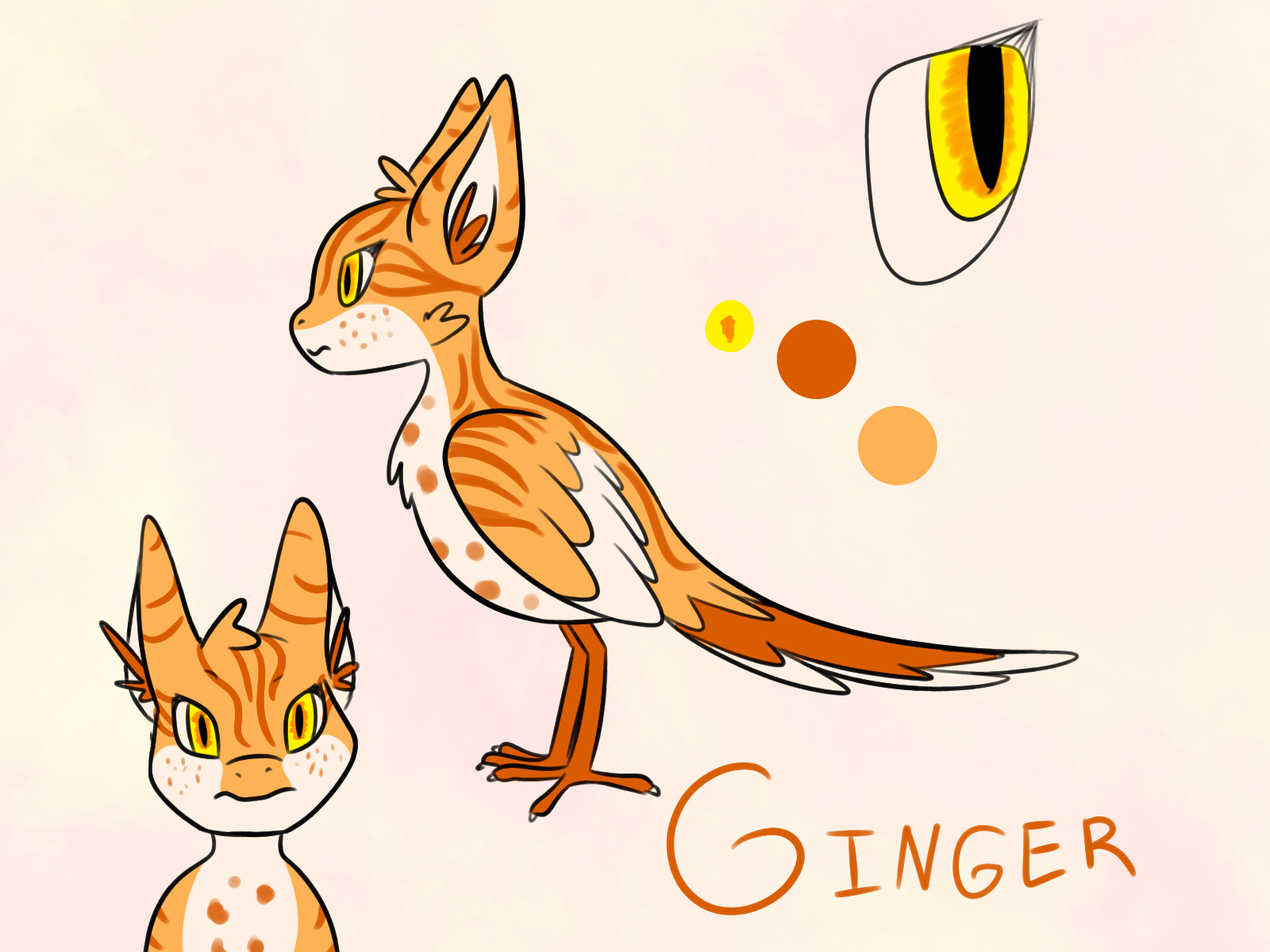 Torimori Ginger