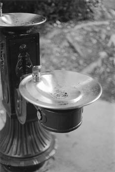 The Water Fountain