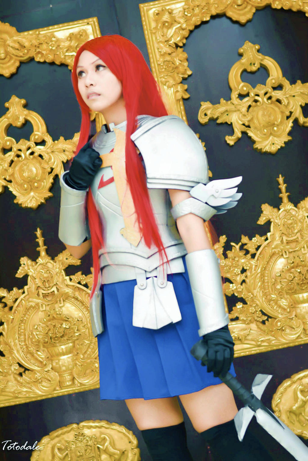 Erza Scarlet IX