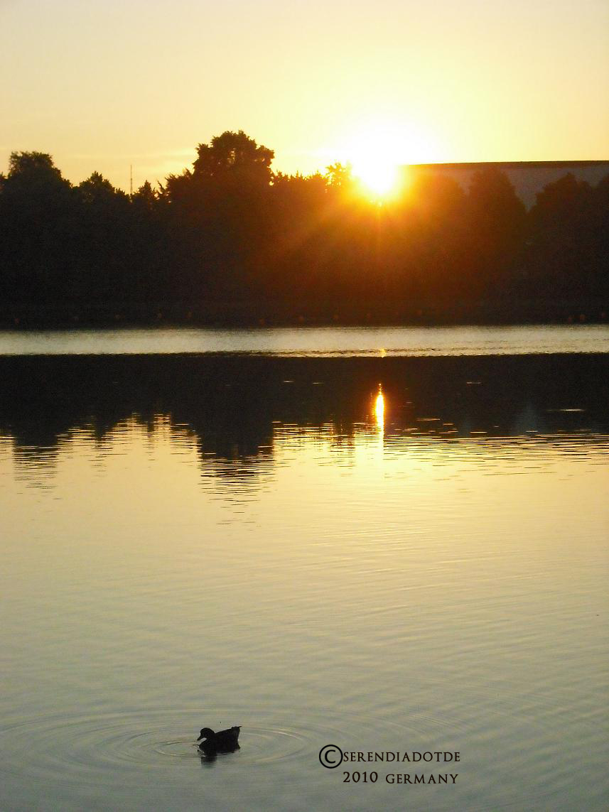 sunrise by the lake 1