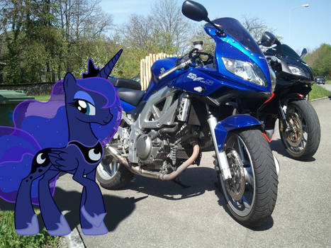 Luna likes my bike