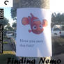 Finding Nemo criterion collection cover