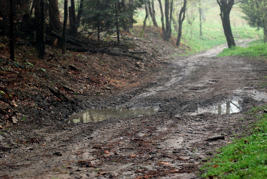 Foggy Trail 2