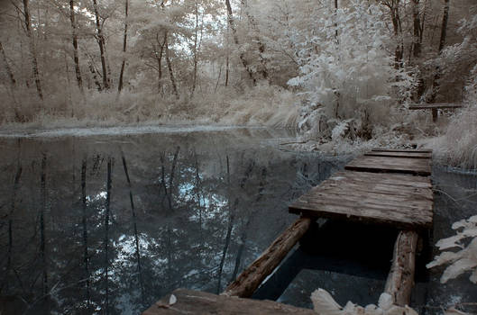 Enchanted Lake