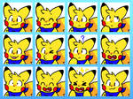The Many Faces of a Pika...