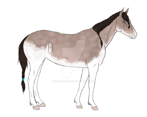 Exotic Island Horse Import 023