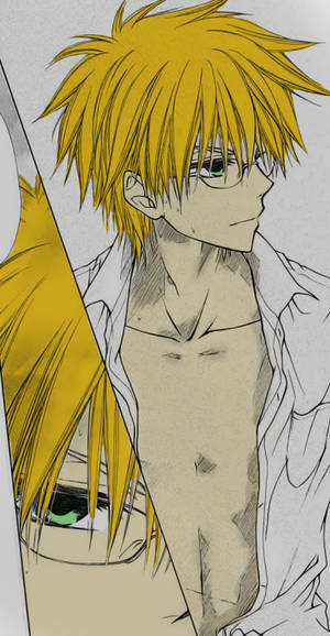 usui kaichou wa maid-sama