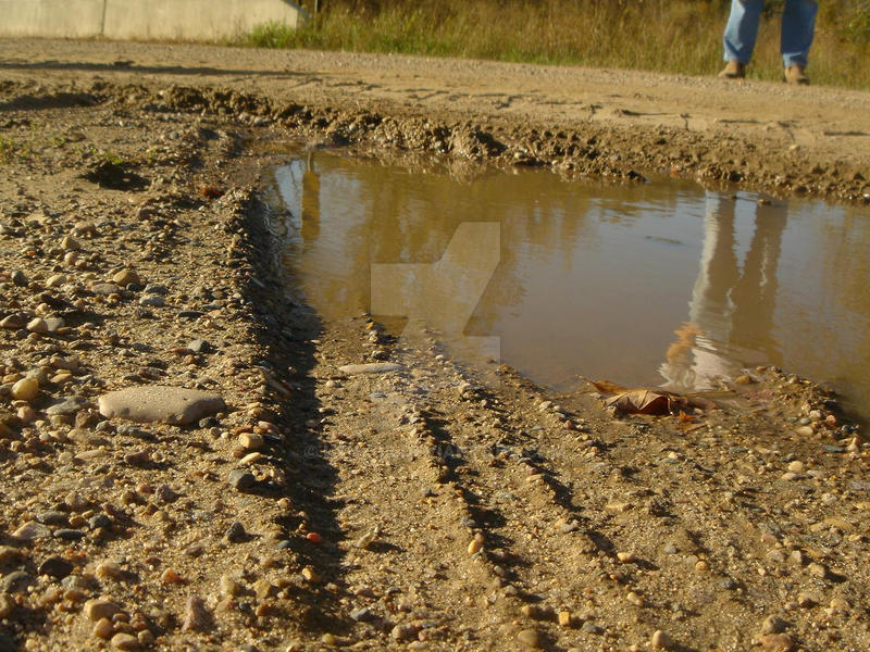 Mud Puddle Ripple Reflection Reflection in Mud Puddle by Lynx08 on DeviantArt