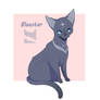 Bluestar