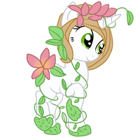 FlowerStar Pony Example 1