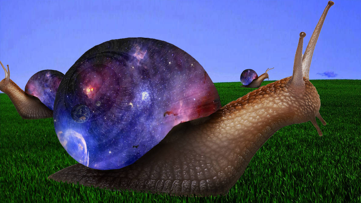 Multiverse Snails by FieldFabricBro on DeviantArt