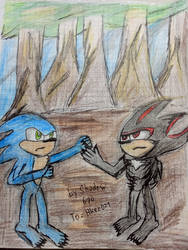 Sonic vs Shadow (without shoe's) 