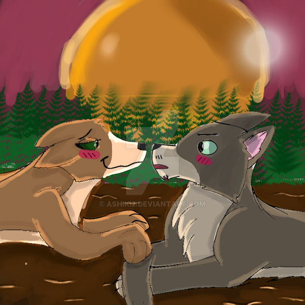 Two wolves by Ashiki2 on DeviantArt