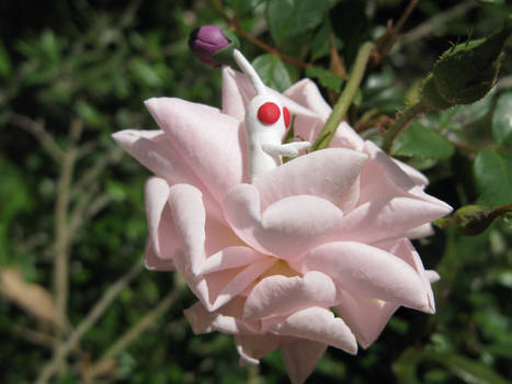 White Pikmin on a Rose