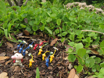 The Pikmin Army is Growing...