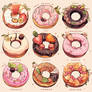 00rid A donut different flavors different ingredie