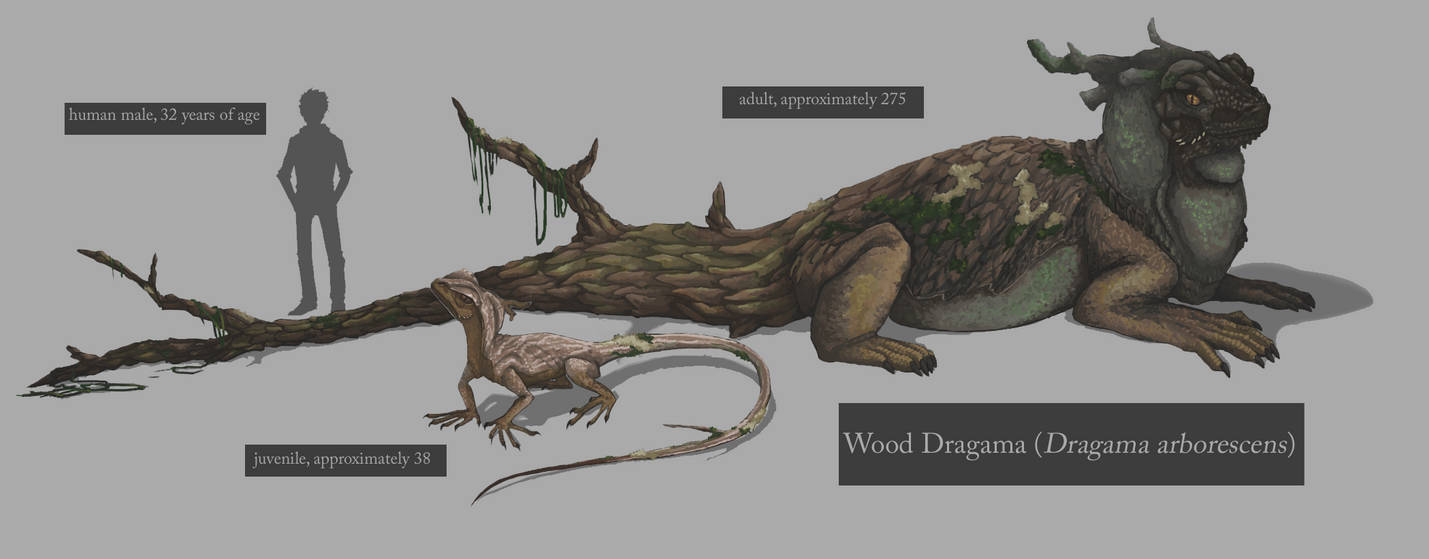 Wood Dragama by alekivz Wood Dragama by alekivz