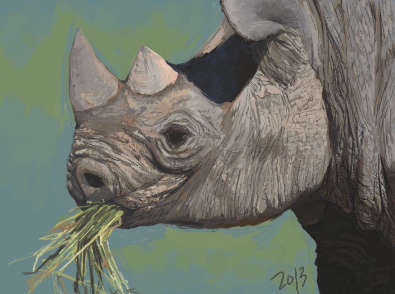 World Rhino Day by alekivz World Rhino Day by alekivz