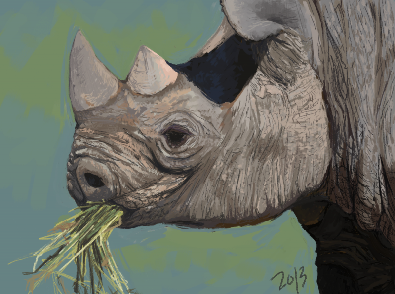 World Rhino Day by alekivz World Rhino Day by alekivz
