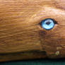 Carved sperm whale eye closeup