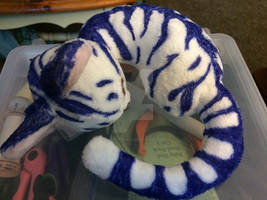 Blue striped kitten