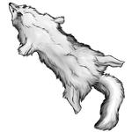 White Fox Pelt by Ulfrheim