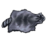 Raccoon Pelt by Ulfrheim