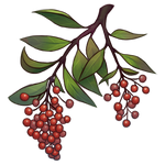 Crabapple Berries by Ulfrheim