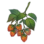 Citrus Berries by Ulfrheim