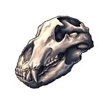 Bear Skull by Ulfrheim
