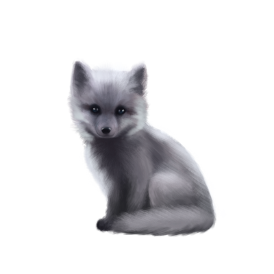 Silver Fox Kit by Ulfrheim on DeviantArt