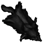 Black Coyote Pelt by Ulfrheim