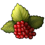 Redcurrants by Ulfrheim