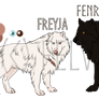 Freyja/Fenrir Official Reference Sheets