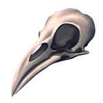 Crow Skull by Ulfrheim