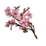 Sakura by Ulfrheim