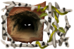 Title: The Dweller of the Dark by Ulfrheim