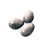 Seagull Eggs by Ulfrheim