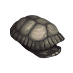 Empty Turtle Shell by Ulfrheim