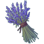 Cluster of Lavender by Ulfrheim