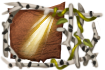 Title: The Pure Title: The Pure