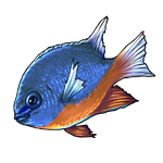 Damsel Fish by Ulfrheim