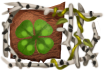 Title: King of Clovers