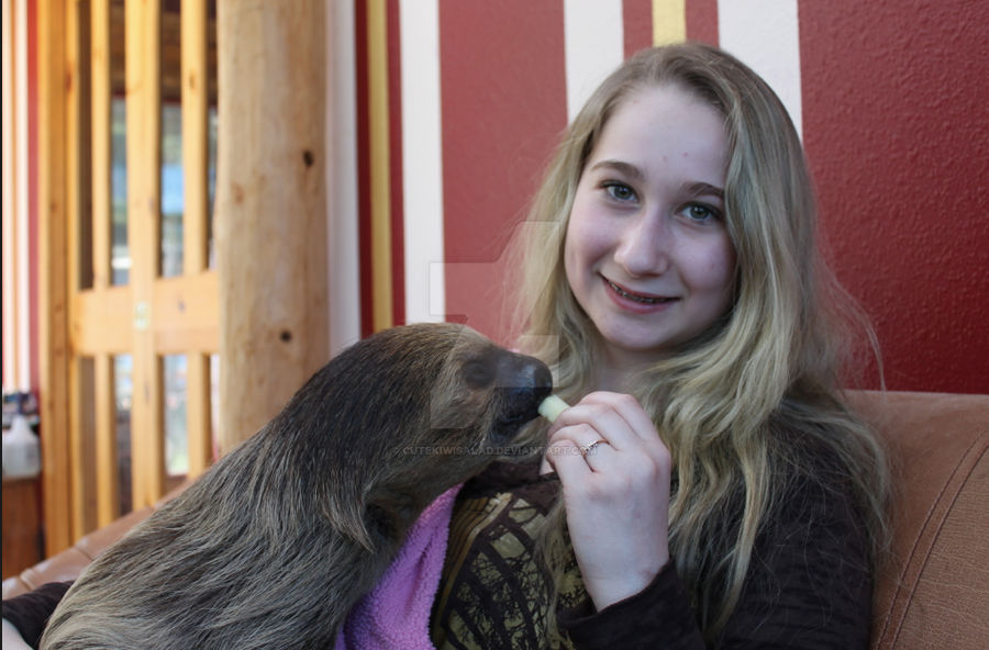 Sloth Love by cutekiwisalad on DeviantArt
