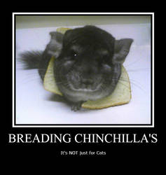 Breading Itachi Uchihna