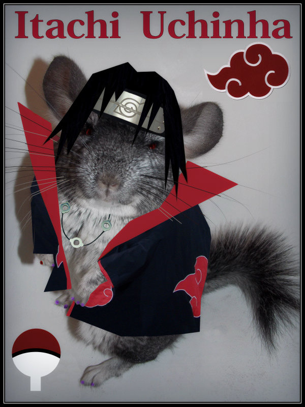 Itachi Uchinha