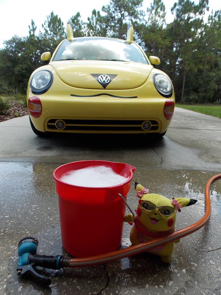 Time to Wash the PikaBug