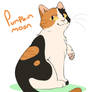Pumpkinmoon