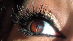 Long Eyelashes Eye stock